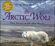The Arctic Wolf: Ten Years With the Pack book cover